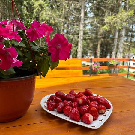 Holiday Home ,,Lazar" Žabljak Εξωτερικό φωτογραφία