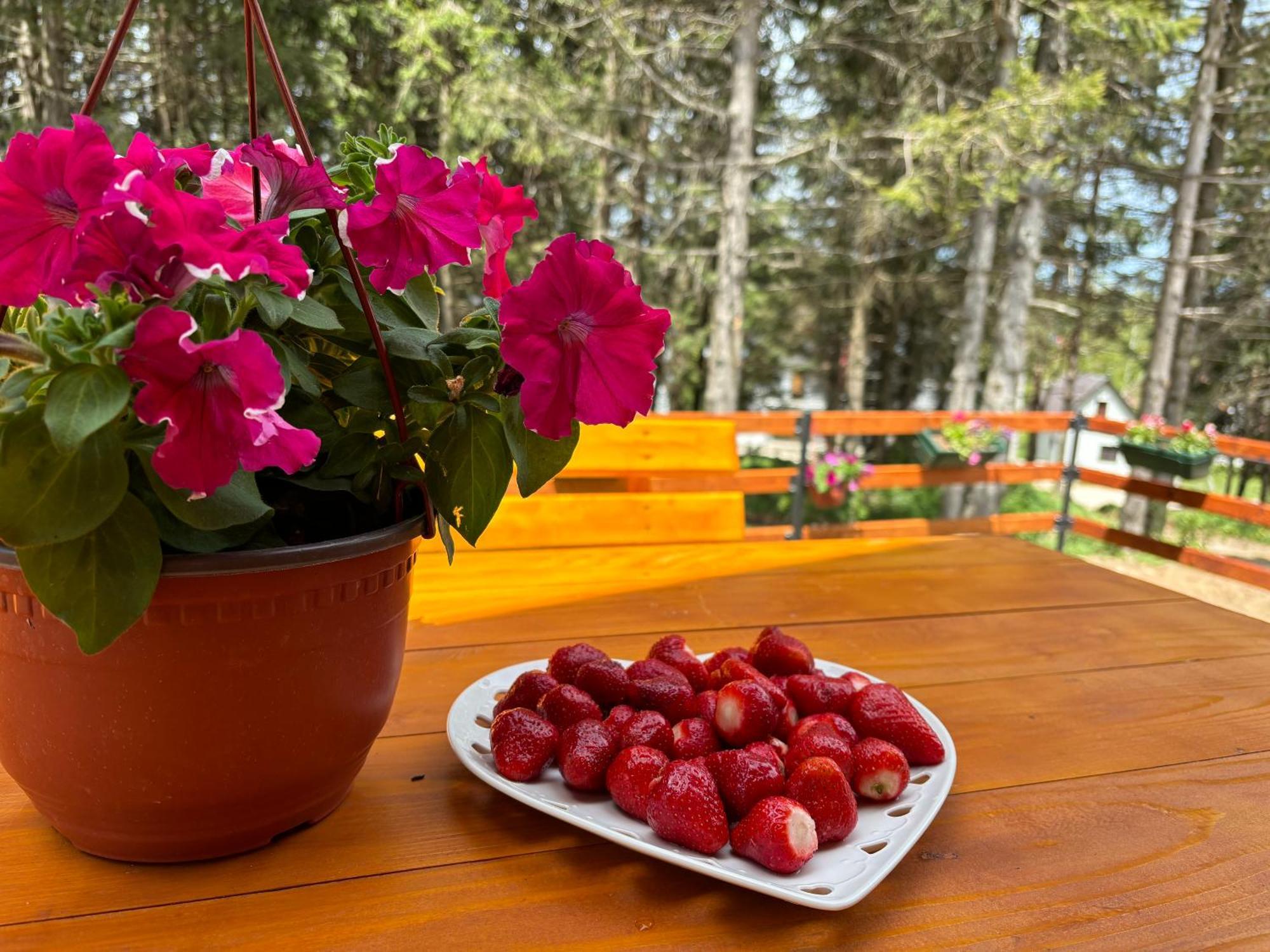 Holiday Home ,,Lazar" Žabljak Εξωτερικό φωτογραφία