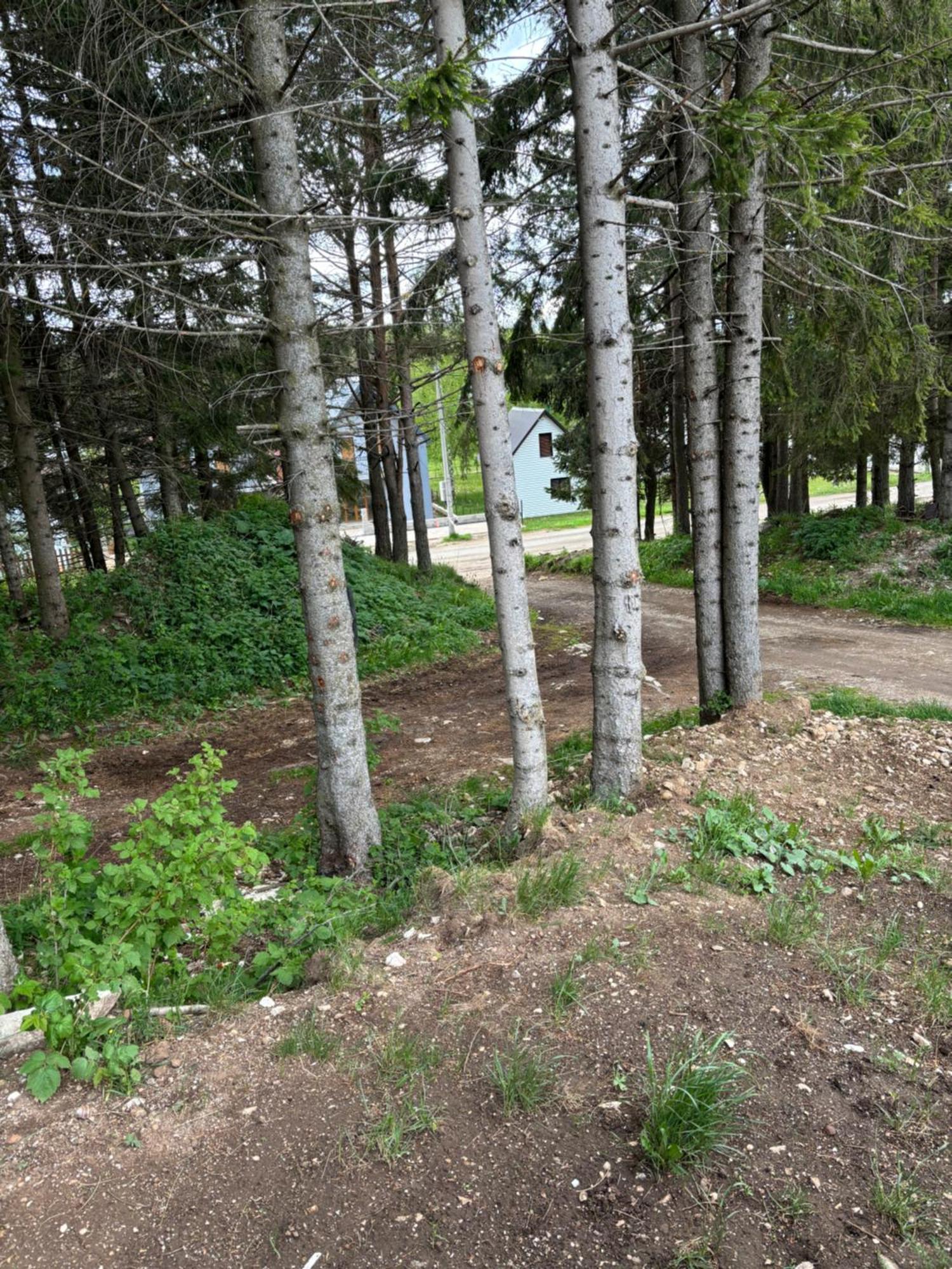 Holiday Home ,,Lazar" Žabljak Εξωτερικό φωτογραφία